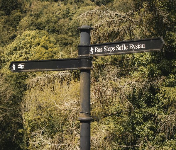 What Are the Cognitive and Physical Health Benefits of Bilingualism?