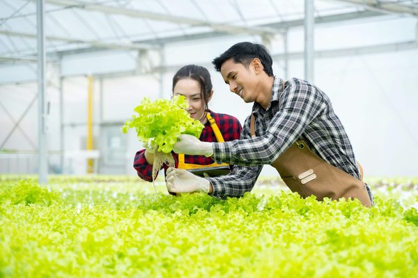 What Are the Latest Developments in Hydroponic Gardening Systems in the UK?